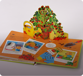 Pop-up Books